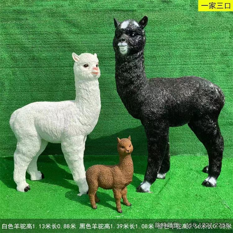 微信圖片_202311100930331 微信圖片_202311100930331